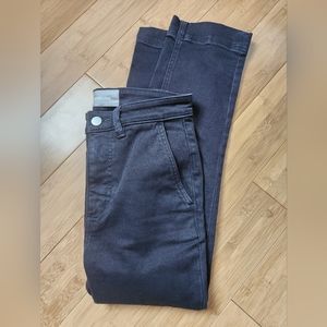 Everlane Ankle Cropped Pants in Dark Blue